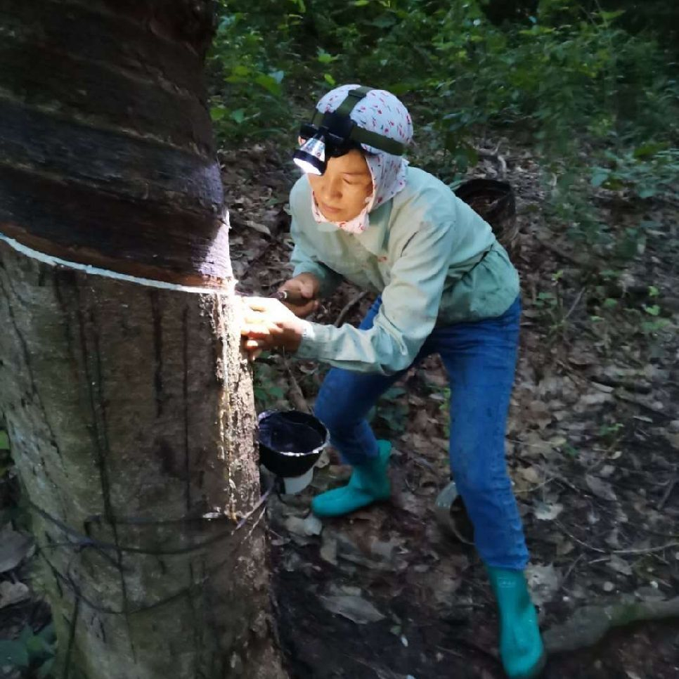 1704243288494020246.jpg 1704243288494020246.jpg