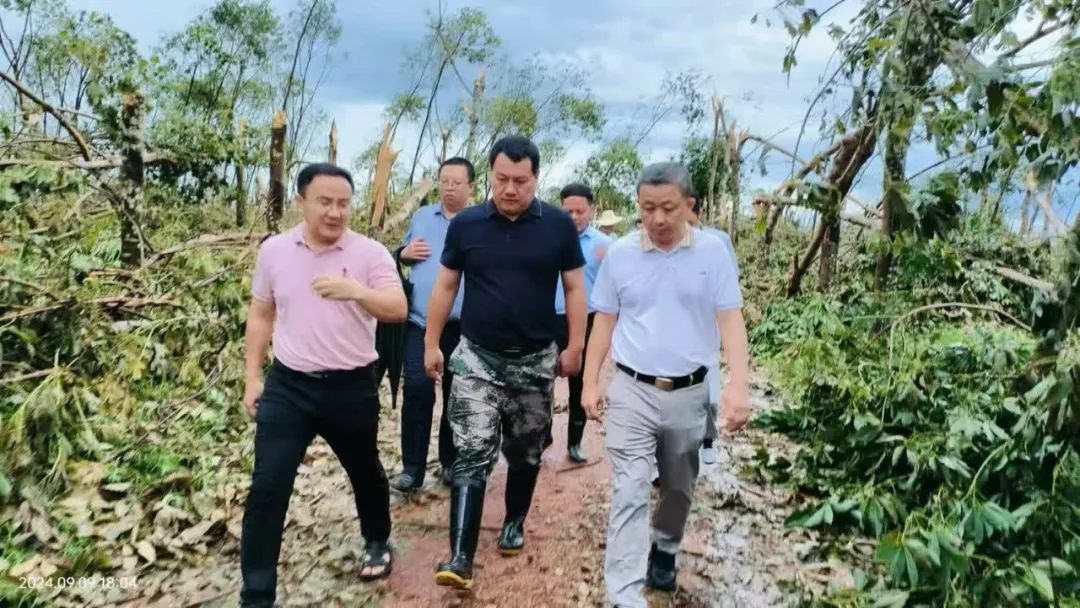 1726648241500004415.jpg 1726648241500004415.jpg