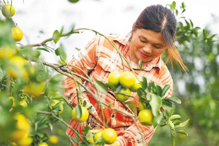 1728520969035034714.jpg 1728520969035034714.jpg