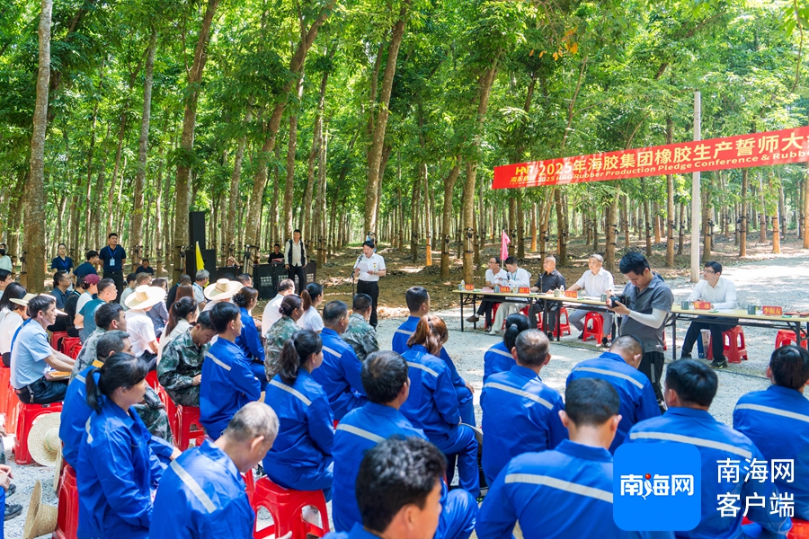 1745455325180010195.jpg 1745455325180010195.jpg