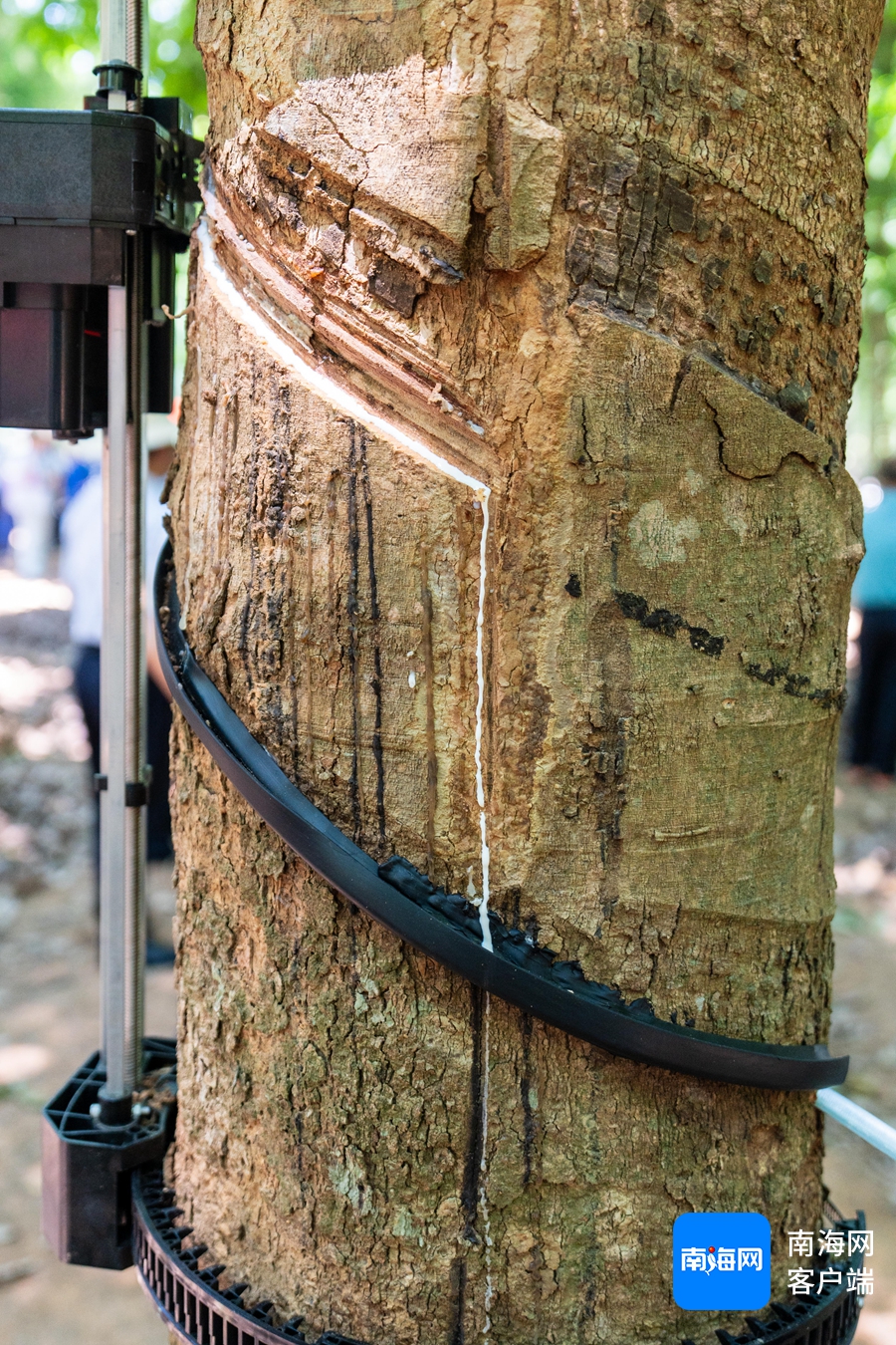 1745455990784073260.jpg 1745455990784073260.jpg