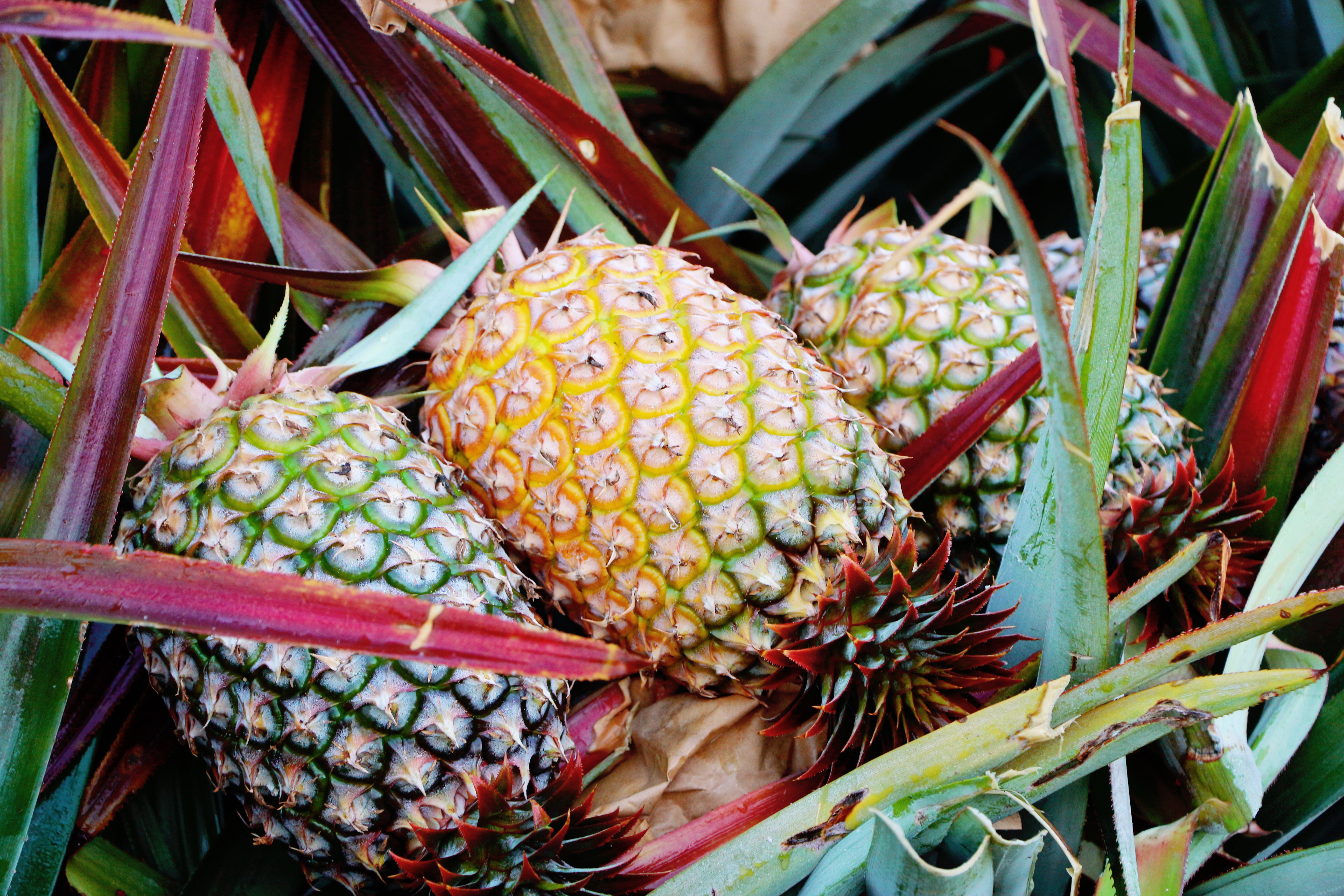 1747389650843020502.jpg 1747389650843020502.jpg